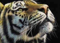 Łeb tygrysa w grafice paintography