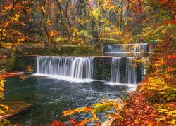 Leśny wodospad pośród jesiennych drzew