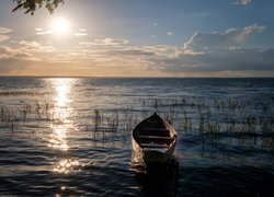 Łódka obok traw na jeziorze w blasku słońca