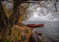 Łódki pod drzewami na brzegu jeziora