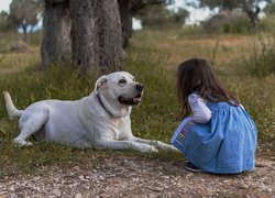 Mała dziewczynka i pies