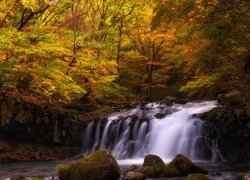 Mały wodospad na rzece w jesiennym lesie