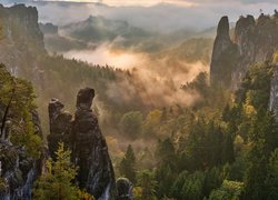 Góry Połabskie, Skały, Drzewa, Mgła, Dolina, Park Narodowy Saskiej Szwajcarii, Niemcy