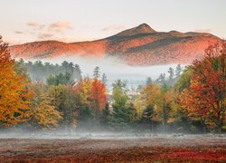 Mgła unosząca się nad górami i jesiennymi drzewami na łące