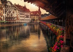 Szwajcaria, Lucerna, Rzeka Reuss, Most Kapelbrucke, Kwiaty, Budynki
