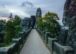 Park Narodowy Saskiej Szwajcarii, Drzewa, Skały, Most, Formacja Bastei, Mgła, Góry Połabskie, Niemcy