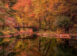 Jesień, Drzewa, Mostek, Ogród, Rzeka, Stan Hywet Hall and Gardens, Akron, Ohio, Stany Zjednoczone
