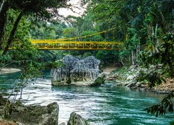 Rzeka Cahabon River, Most, Skała, Kamienie, Las, Drzewa, Gwatemala