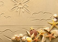 Muszelki i rozgwiazdy na piasku