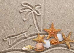Muszelki i rozgwiazdy obok palmy narysowanej w piasku