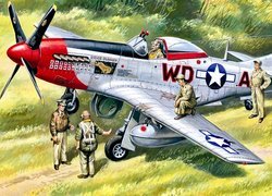 Samolot, Myśliwiec, North American P-51 Mustang, Reprodukcja obrazu