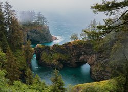 Skały, Mosty skalne, Drzewa, Mgła, Morze, Punkt widokowy, Natural Bridges Viewpoint, Brookings, Oregon, Stany Zjednoczone