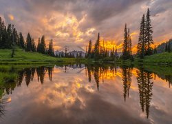 Park Narodowy Mount Rainier, Góry, Jezioro, Tipsoo Lake, Drzewa, Chmury, Odbicie, Zachód słońca, Stan Waszyngton, Stany Zjednoczone