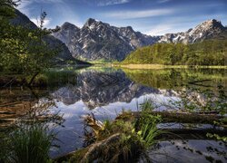 Austria, Góry, Jezioro, Almsee, Drzewa, Odbicie