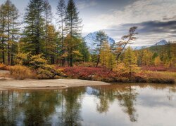 Odbicie jesiennych drzew i krzewów w rzece
