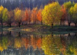 Jesień, Kolorowe, Drzewa, Staw, Odbicie