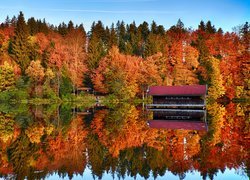 Jesień, Kolorowe, Drzewa, Jezioro, Odbicie, Drewniany, Dom, Niebo