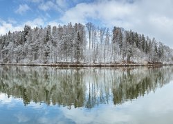 Odbicie ośnieżonego lasu w jeziorze