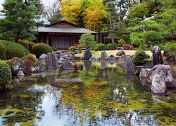 Ogród japoński Seiryu-en garden na zamku Nijo w Kioto