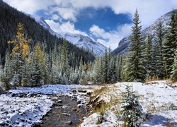 Oprószone śniegiem świerki nad zimową rzeką z górami w tle
