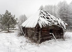 Ośnieżona drewniana szopa