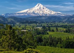 Góra, Mount Hood, Domy, Drzewa, Miejscowość Hood River, Stan Oregon, Stany Zjednoczone