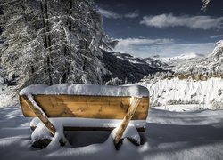 Zima, Śnieg, Zaśnieżona, Ławka, Drzewa, Góry Alpy Retyckie, Arosa, Kanton Gryzonia, Szwajcaria