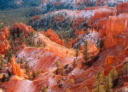 Ośnieżone czerwone skały w Parku Narodowym Bryce Canyon