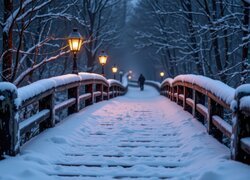 Zima, Most, Latarnie, Człowiek, Park, Drzewa