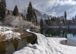 Ośnieżone drzewa nad jeziorem Cresta w Szwajcarii