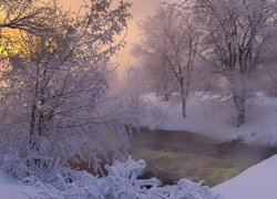 Ośnieżone drzewa po obu stronach rzeki o poranku