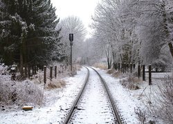 Zima, Drzewa, Tory kolejowe