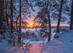 Ośnieżone drzewa w śniegu na tle zachodu słońca