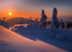 Ośnieżone drzewa w zaspach śnieżnych i góry o zachodzie słońca