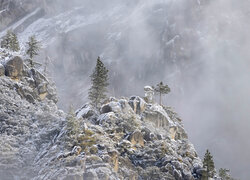 Ośnieżone skały w Parku Narodowym Yosemite we mgle