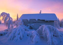 Ośnieżony dom i pochylone drzewa w śniegu