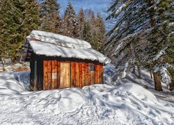 Drewniany, Domek, Las, Śnieg, Drzewa