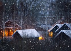 Las, Noc, Zima, Domy, Oświetlenie, Padający, Śnieg