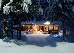 Oświetlony dom w lesie zimą