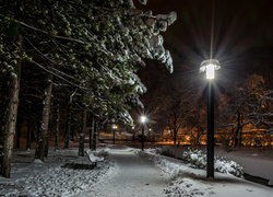 Oświetlony zimowy park w Zagrzebiu w Chorwacji nocą