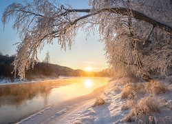 Oszronione gałęzie i krzewy nad brzegiem rzeki