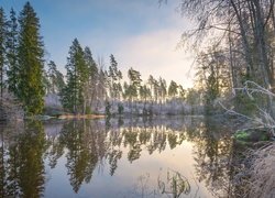 Rzeka, Virojoki River, Drzewa, Oszroniona, Trawa, Region Kymenlaakso, Finlandia