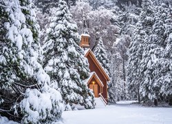 Zima, Drzewa, Kaplica, Kościółek, Las, Śnieg, Park Narodowy Yosemite, Stan Kalifornia, Stany Zjednoczone