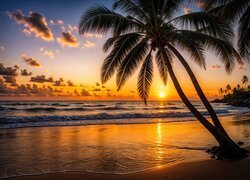 Plaża, Palmy, Morze, Zachód słońca, Grafika