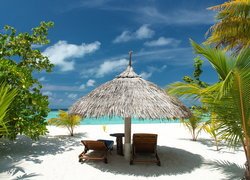 Palmy i leżaki pod parasolem na tropikalnej plaży