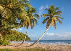 Grenada, Plaża La Sagesse, Morze Karaibskie, Palmy, Wyspa, Tropiki