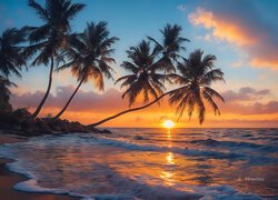 Palmy pochylone nad morzem o zachodzie słońca