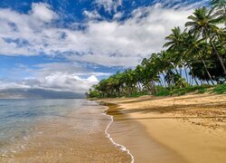 Stany Zjednoczone, Hawaje, Maui, Morze, Plaża, Palmy