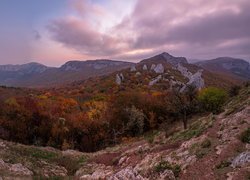 Góry Krymskie, Drzewa, Lasy, Jesień, Sewastopol, Ukraina