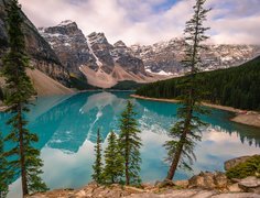 Kanada, Alberta, Park Narodowy Banff, Jezioro Moraine, Drzewa,  Góry